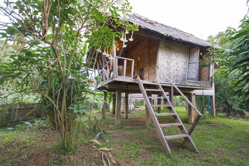 Champa Lao Bungalows Hotel Vang Vieng Bagian luar foto